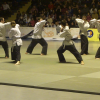 Nuits des arts martiaux Valence 2014
